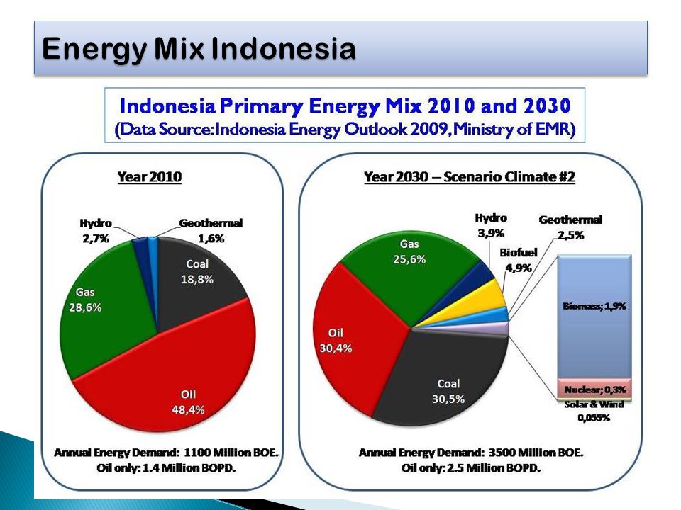 Energy Mix Indonesia