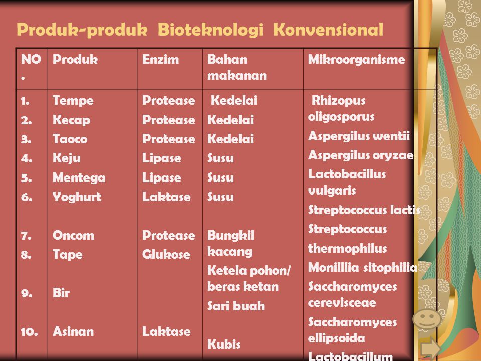 Produk-produk Bioteknologi Konvensional
