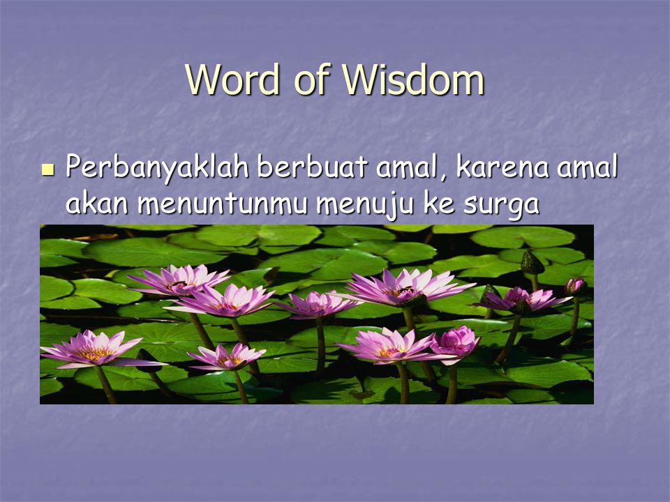 Word of Wisdom Perbanyaklah berbuat amal, karena amal akan menuntunmu menuju ke surga