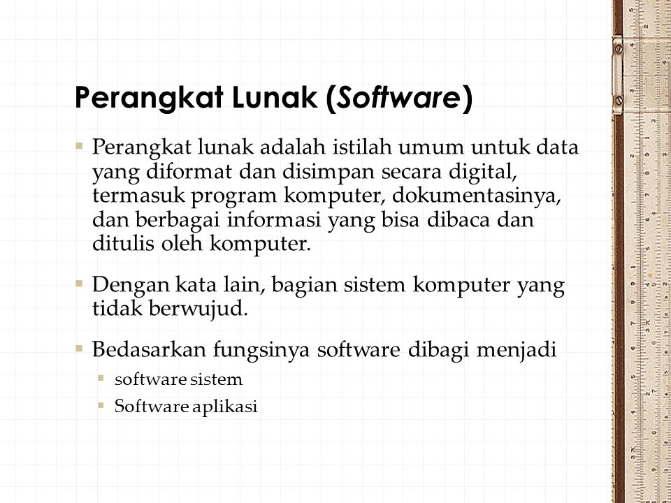 Perangkat Lunak (Software)