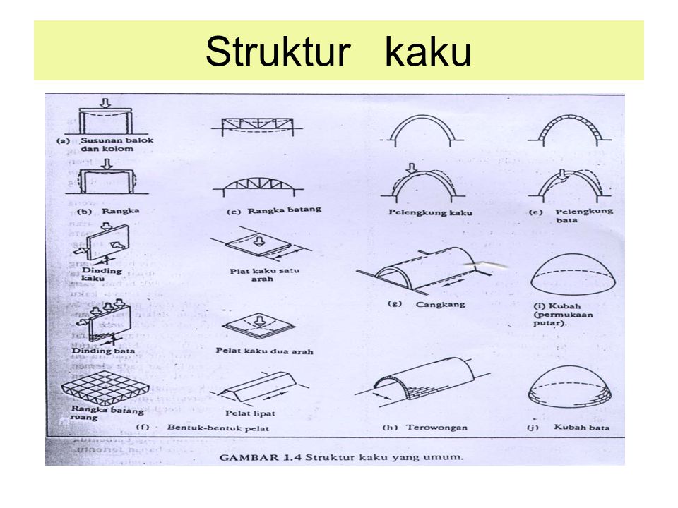 Struktur kaku