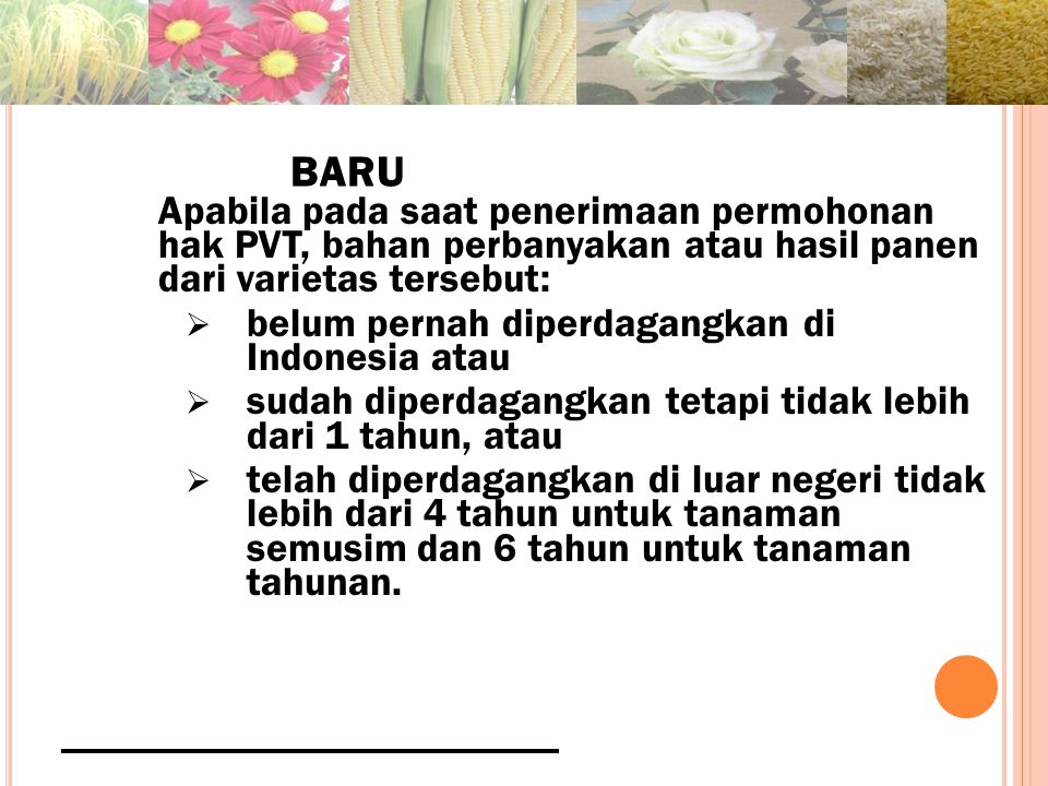 BARU Apabila pada saat penerimaan permohonan hak PVT, bahan perbanyakan atau hasil panen dari varietas tersebut: