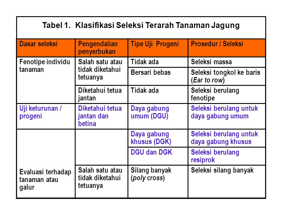 Tabel 1. Klasifikasi Seleksi Terarah Tanaman Jagung