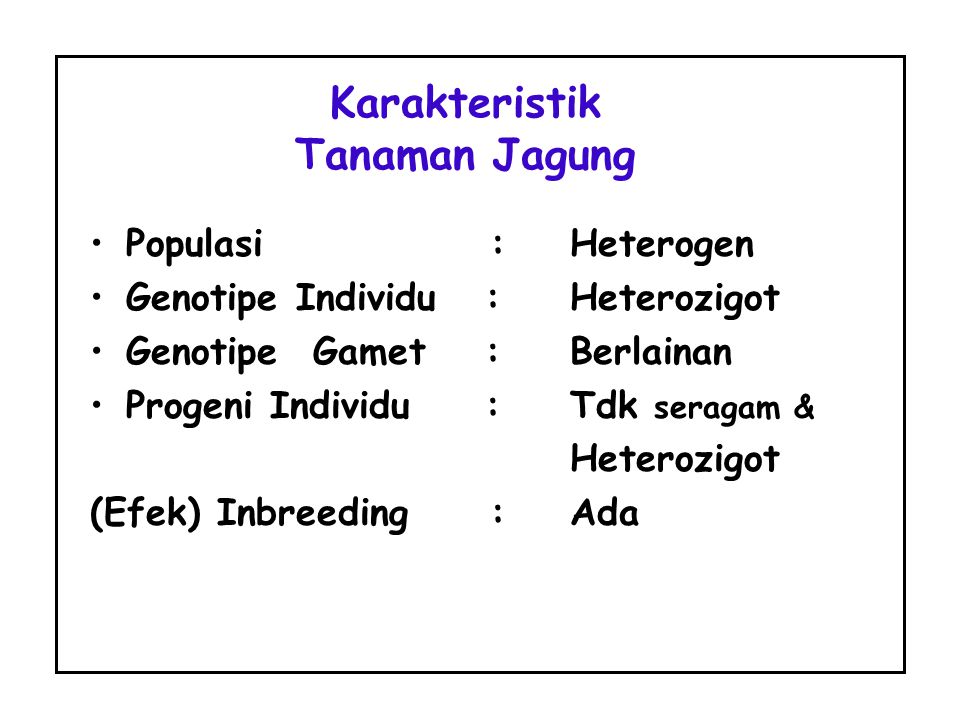 Karakteristik Tanaman Jagung