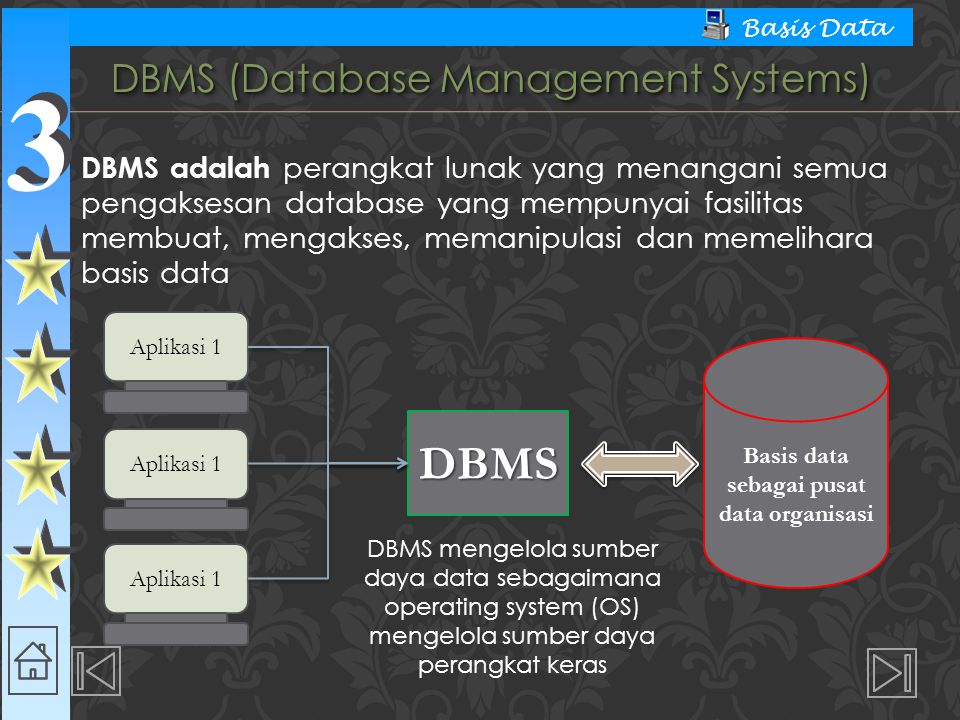DBMS (Database Management Systems)