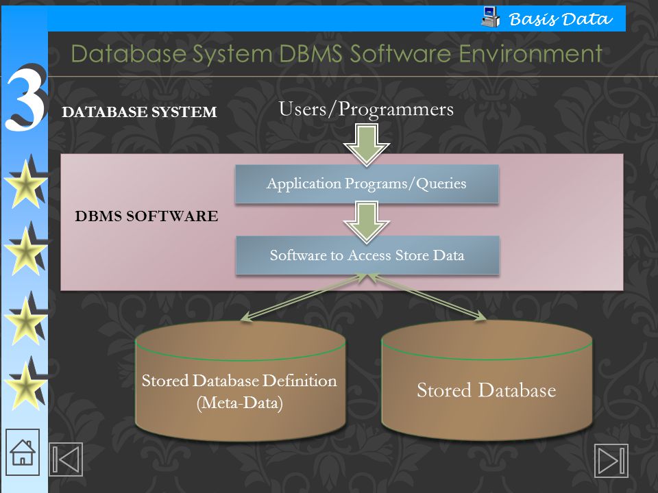 Database System DBMS Software Environment