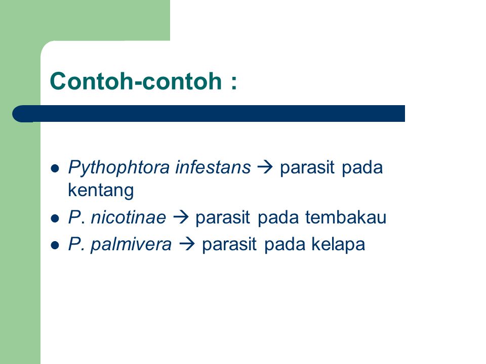 Contoh-contoh : Pythophtora infestans  parasit pada kentang