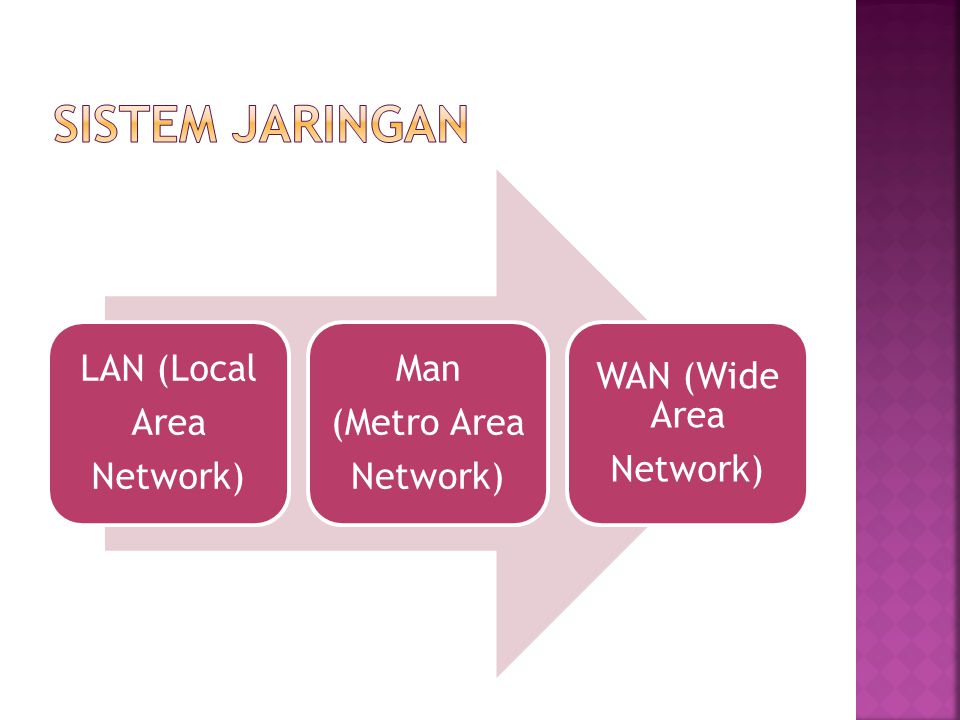 Sistem Jaringan LAN (Local Network) Area (Metro Area Man