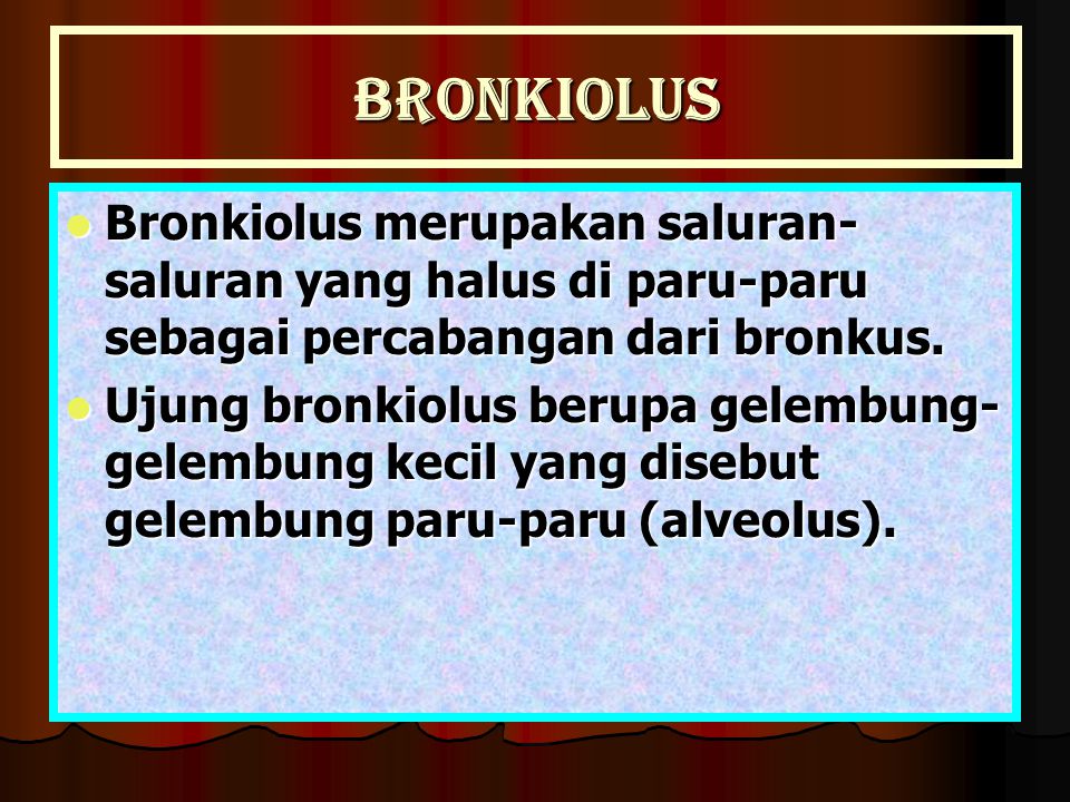 Bronkiolus Bronkiolus merupakan saluran-saluran yang halus di paru-paru sebagai percabangan dari bronkus.