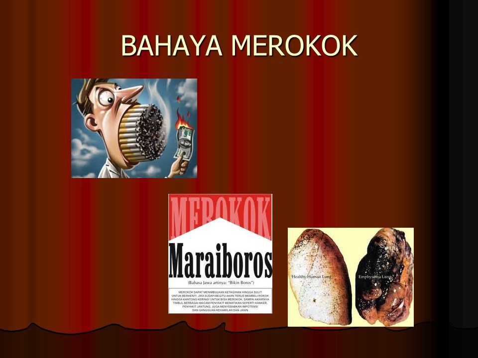 BAHAYA MEROKOK
