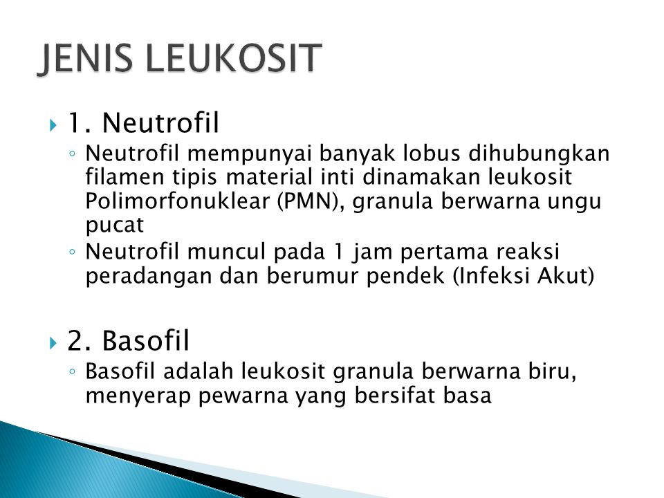 JENIS LEUKOSIT 1. Neutrofil 2. Basofil