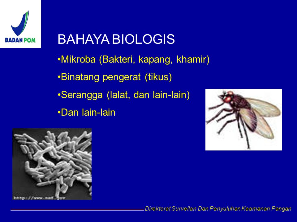 BAHAYA BIOLOGIS Mikroba (Bakteri, kapang, khamir)