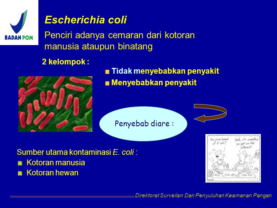Escherichia coli что это у мужчин. Эшерихия микробиология. Escherichia coli каталаза. Эшерихия коли микробиология. Эшерихия коли Тип дыхания.