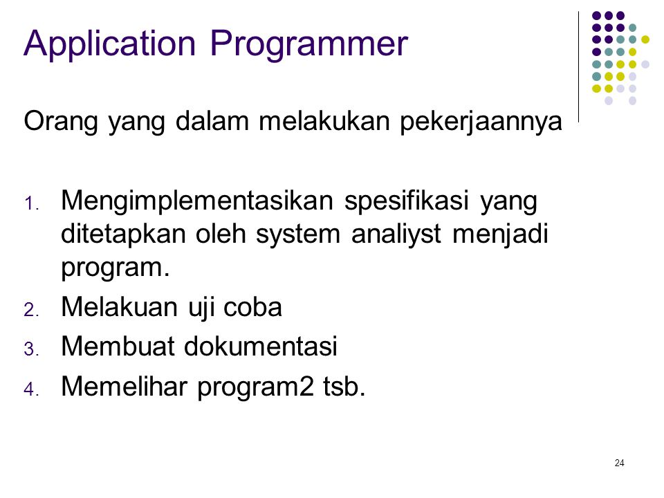 Application Programmer