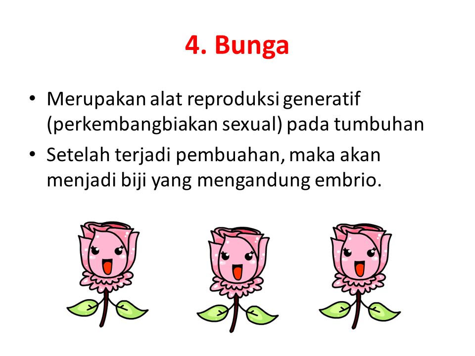 4. Bunga Merupakan alat reproduksi generatif (perkembangbiakan sexual) pada tumbuhan.
