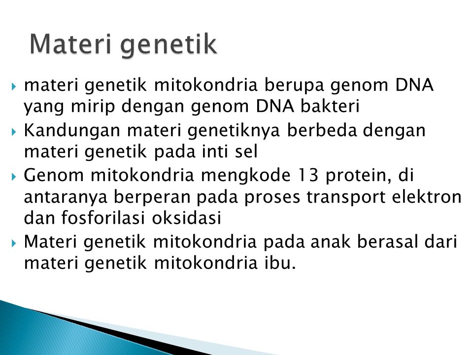 Materi genetik materi genetik mitokondria berupa genom DNA yang mirip dengan genom DNA bakteri.