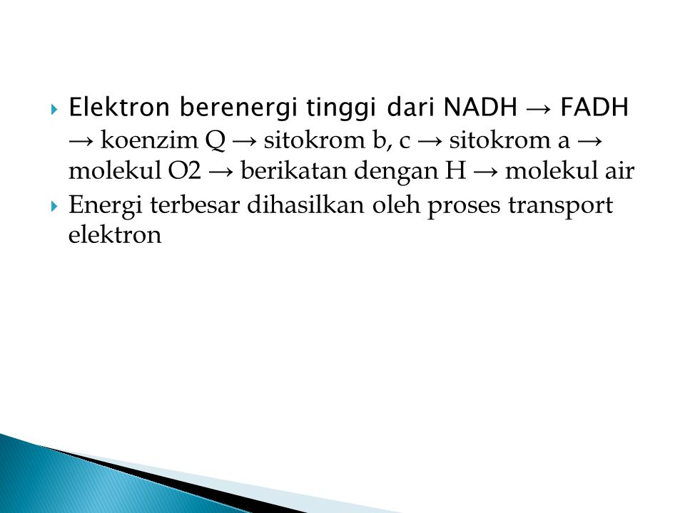 Elektron berenergi tinggi dari NADH → FADH → koenzim Q → sitokrom b, c → sitokrom a → molekul O2 → berikatan dengan H → molekul air