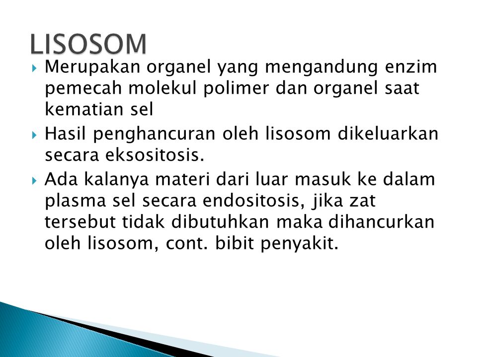 LISOSOM Merupakan organel yang mengandung enzim pemecah molekul polimer dan organel saat kematian sel.