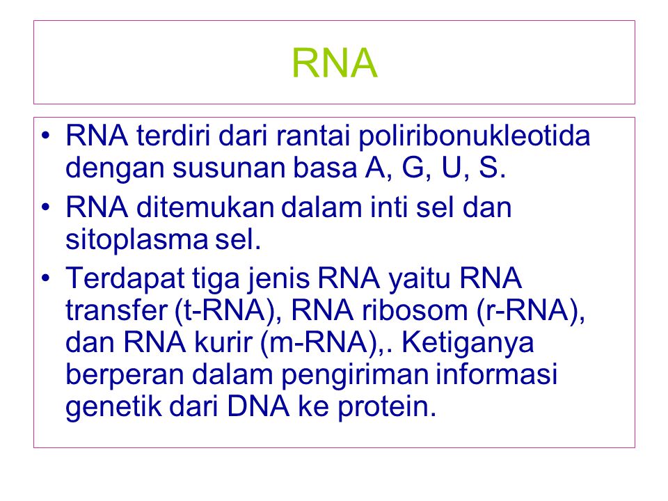 RNA RNA terdiri dari rantai poliribonukleotida dengan susunan basa A, G, U, S. RNA ditemukan dalam inti sel dan sitoplasma sel.