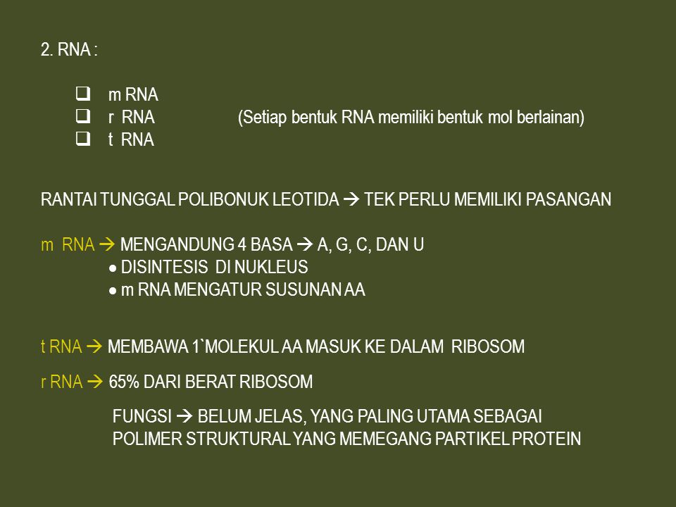 RNA : m RNA. r RNA (Setiap bentuk RNA memiliki bentuk mol berlainan) t RNA.