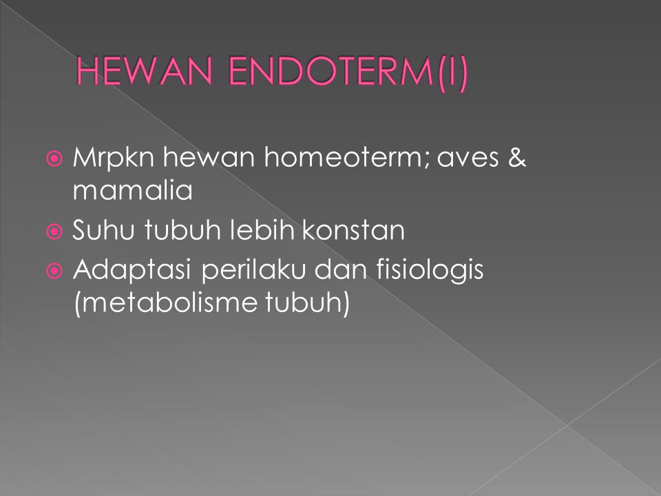 HEWAN ENDOTERM(I) Mrpkn hewan homeoterm; aves & mamalia
