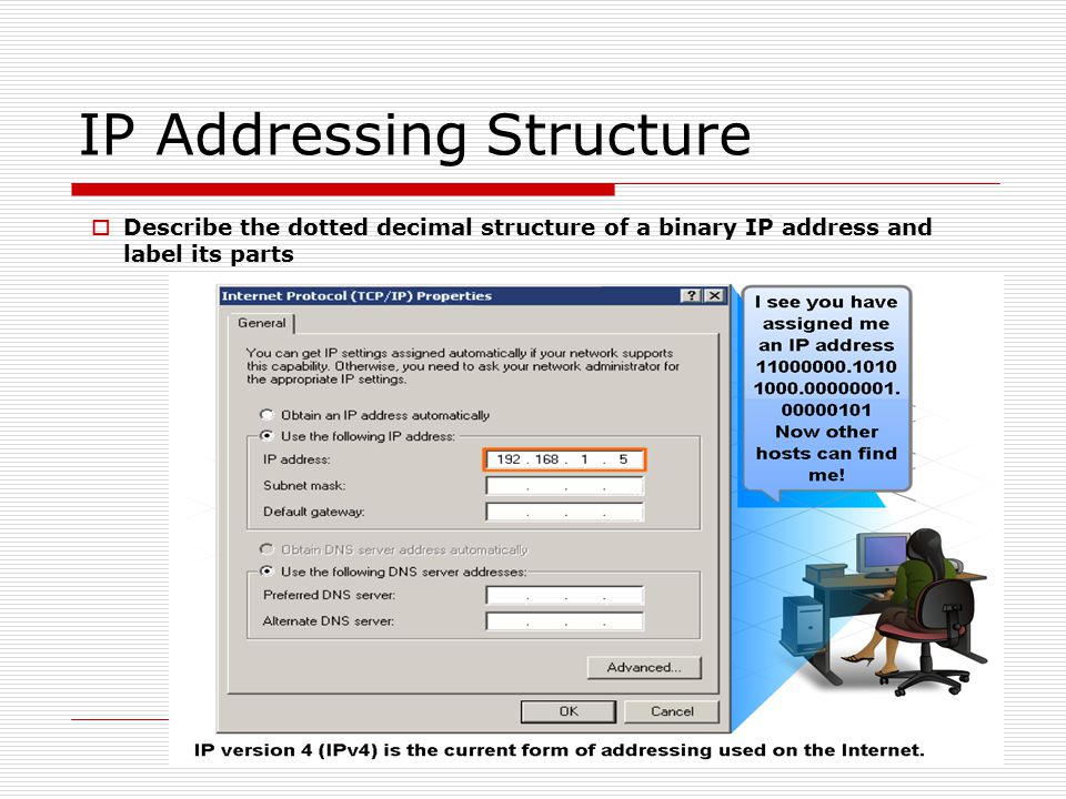 IP Addressing Structure