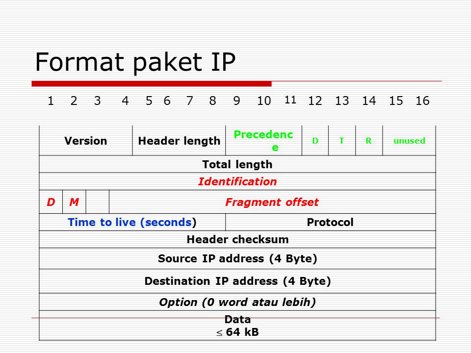 Format paket IP Version