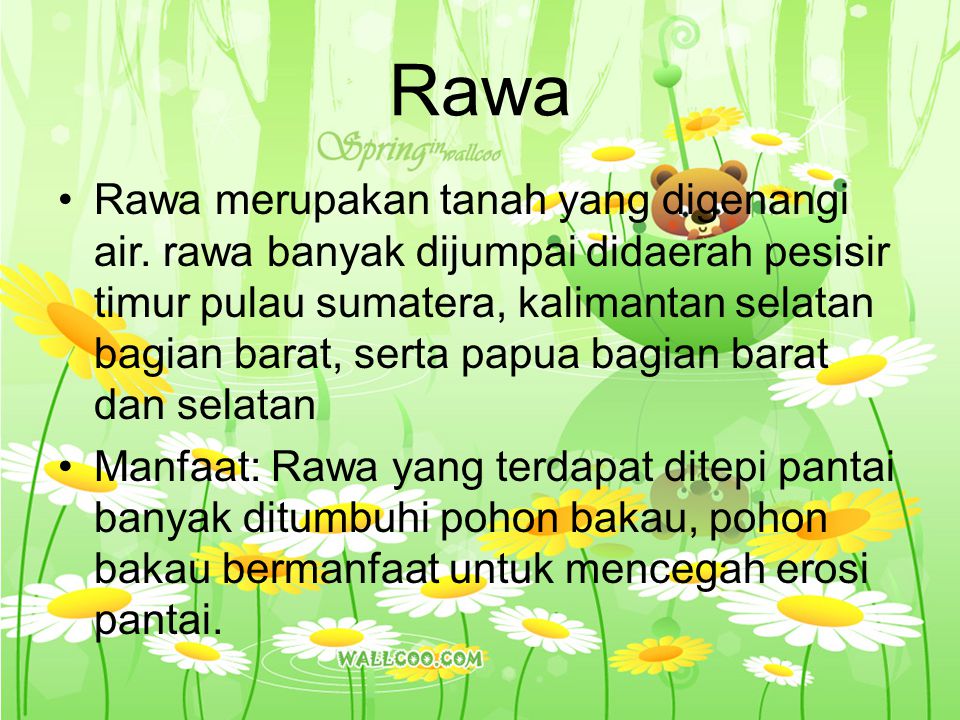 Rawa