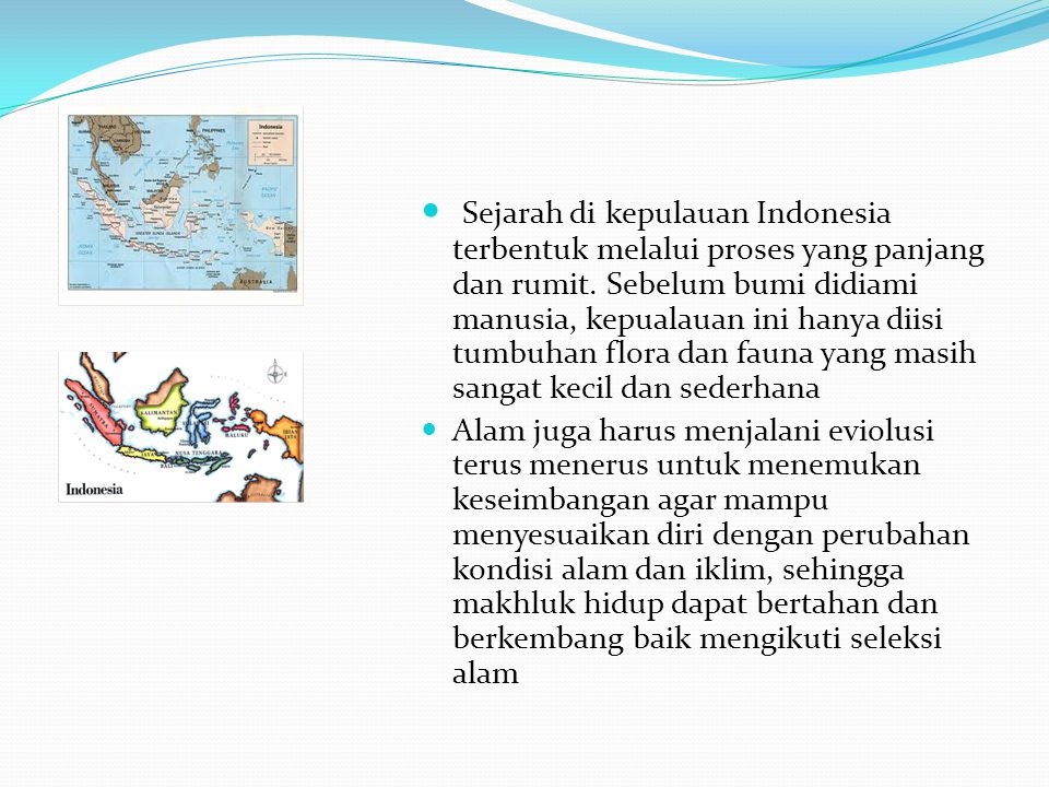 Sejarah di kepulauan Indonesia terbentuk melalui proses yang panjang dan rumit. Sebelum bumi didiami manusia, kepualauan ini hanya diisi tumbuhan flora dan fauna yang masih sangat kecil dan sederhana
