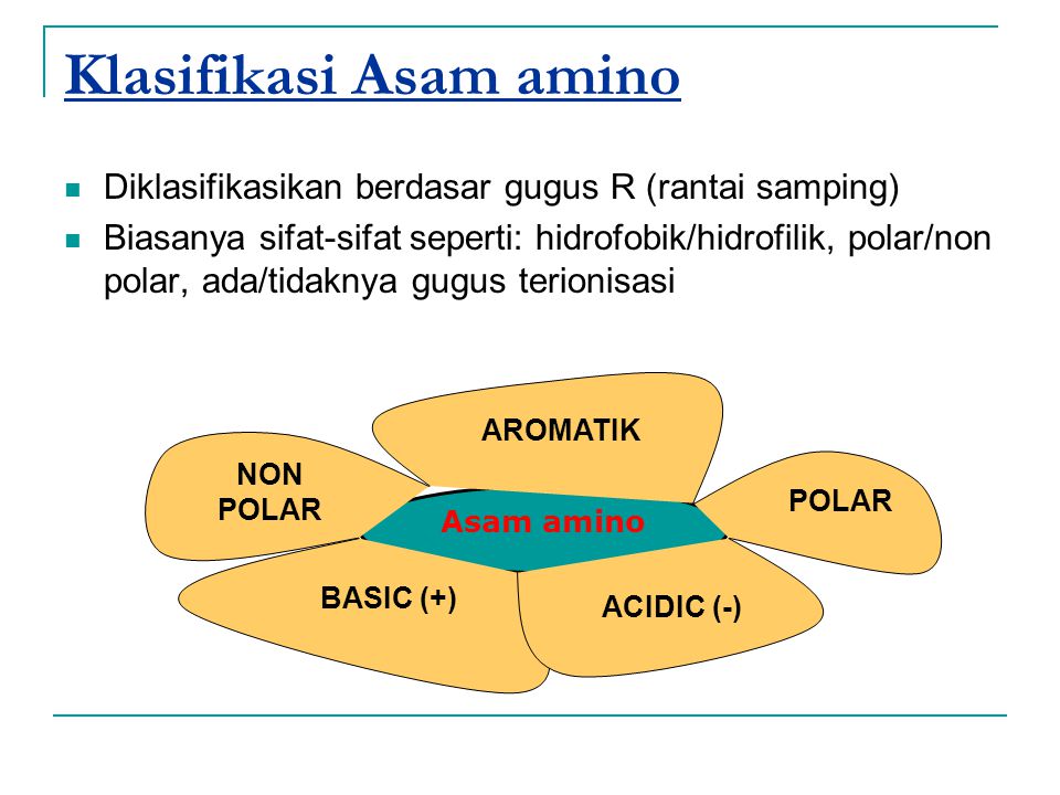 Klasifikasi Asam amino