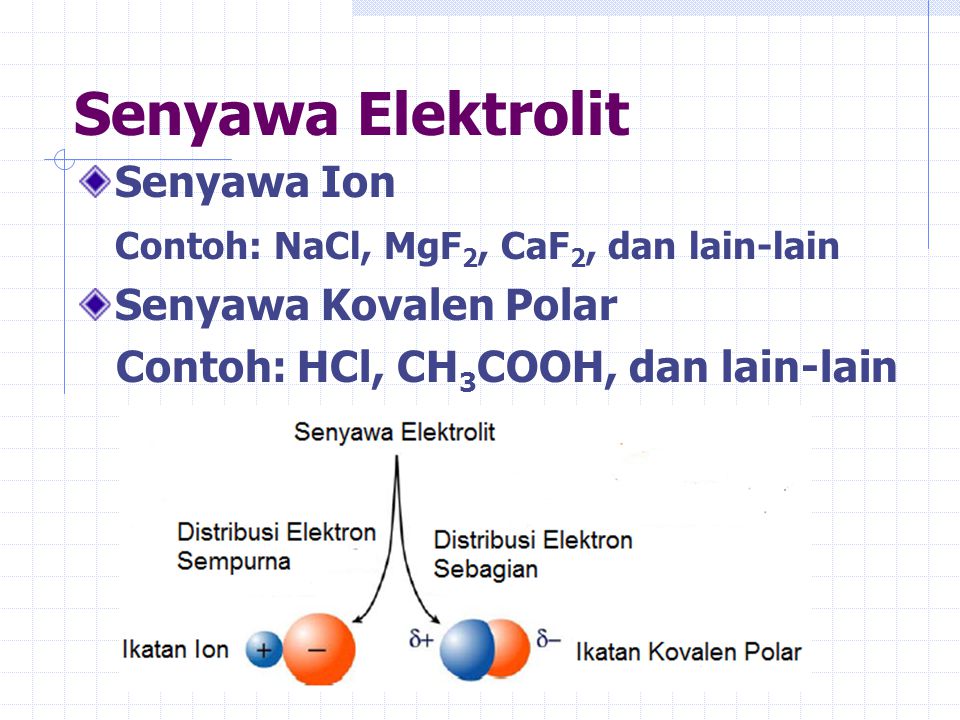 Senyawa Elektrolit Senyawa Ion Contoh: NaCl, MgF2, CaF2, dan lain-lain