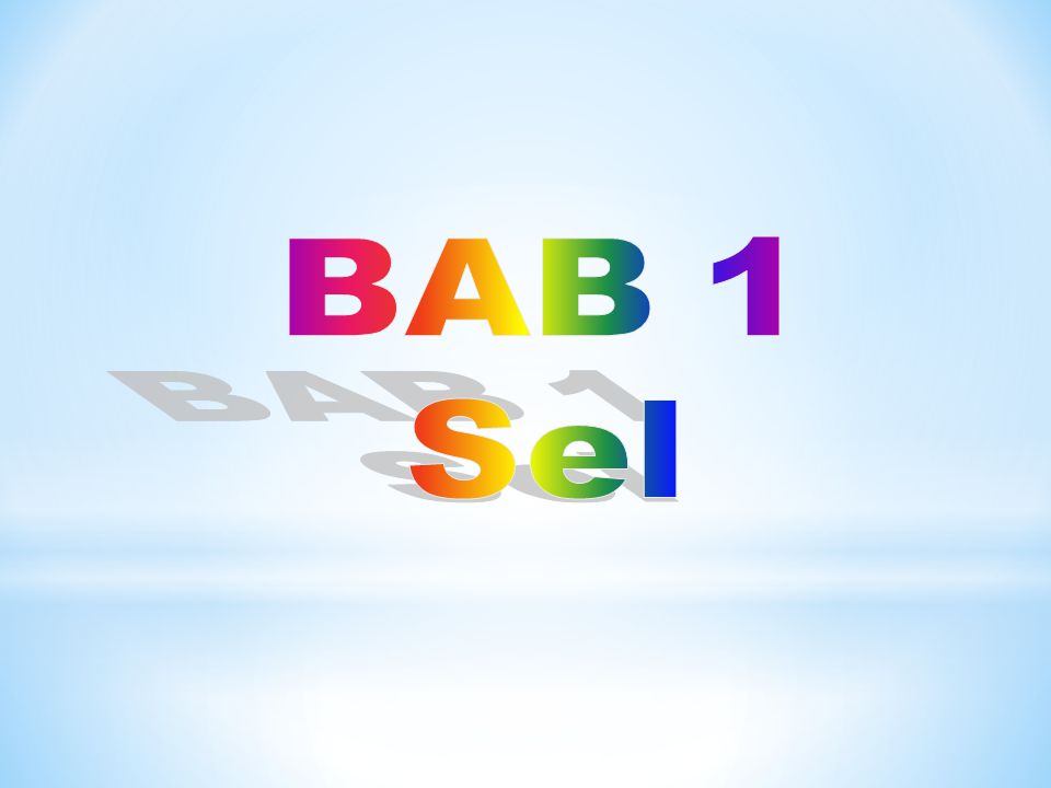BAB 1 Sel