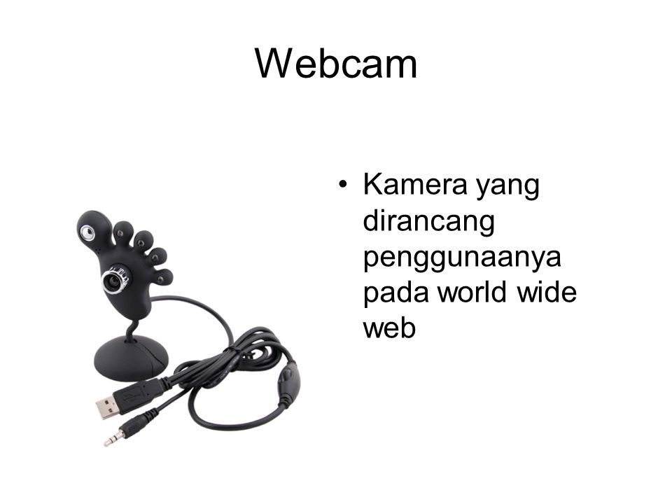 Webcam Kamera yang dirancang penggunaanya pada world wide web