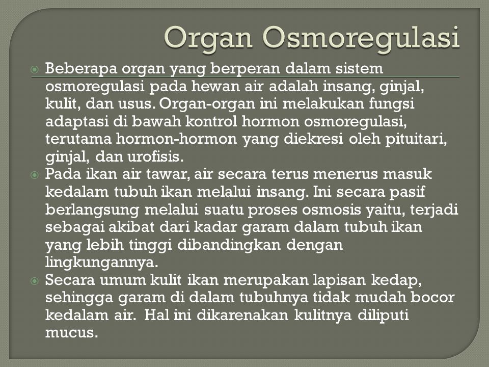 Organ Osmoregulasi