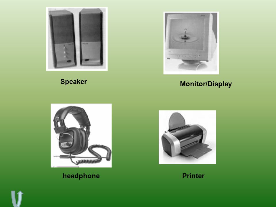 Speaker Monitor/Display headphone Printer