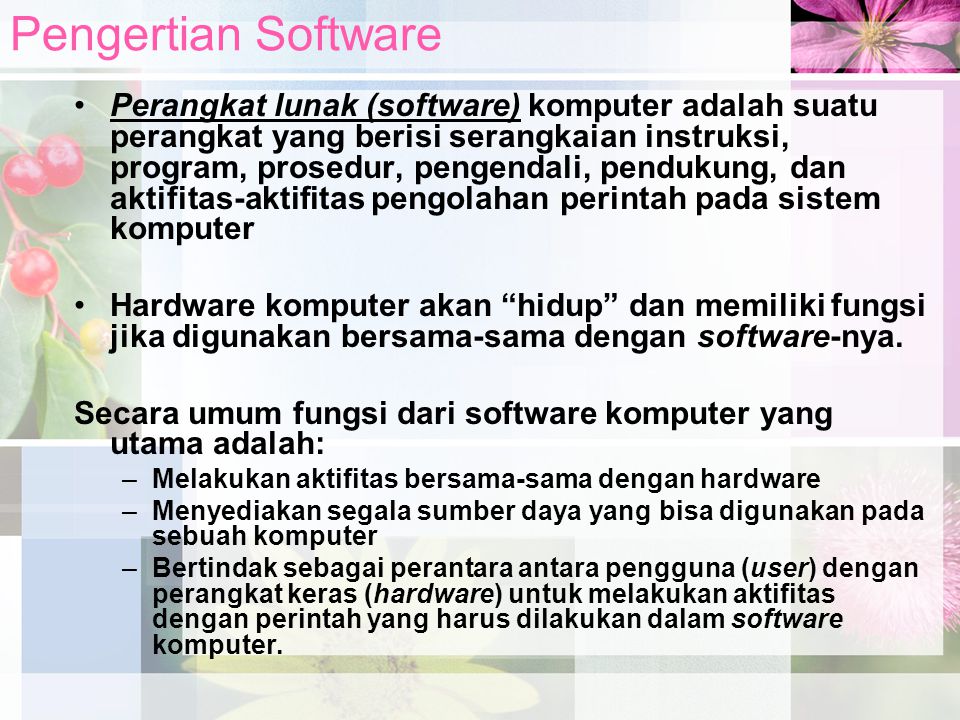 Pengertian Software