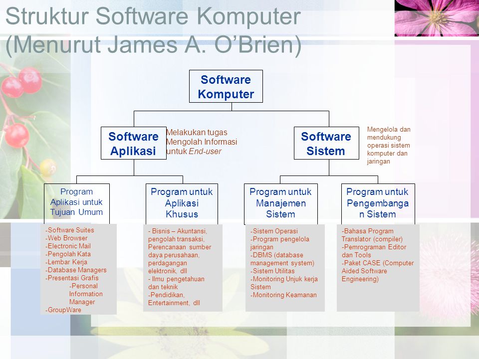 Struktur Software Komputer (Menurut James A. O’Brien)