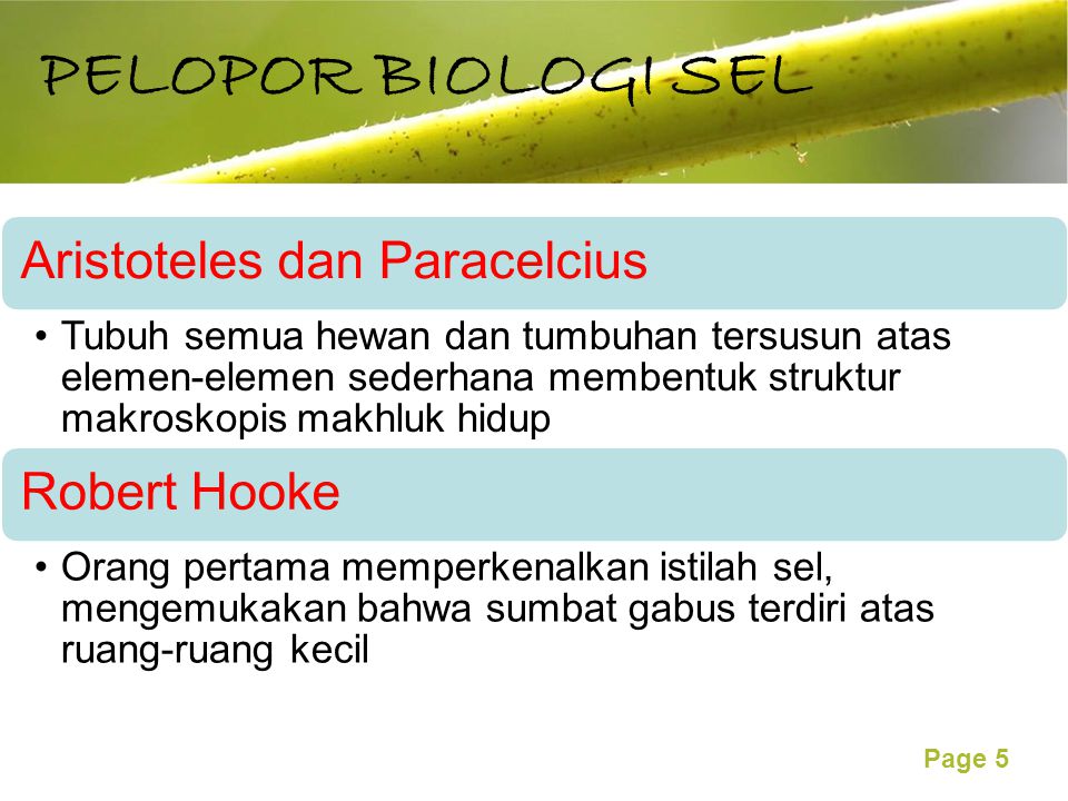 PELOPOR BIOLOGI SEL Aristoteles dan Paracelcius