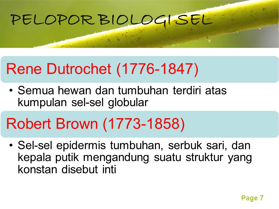 PELOPOR BIOLOGI SEL Rene Dutrochet ( )
