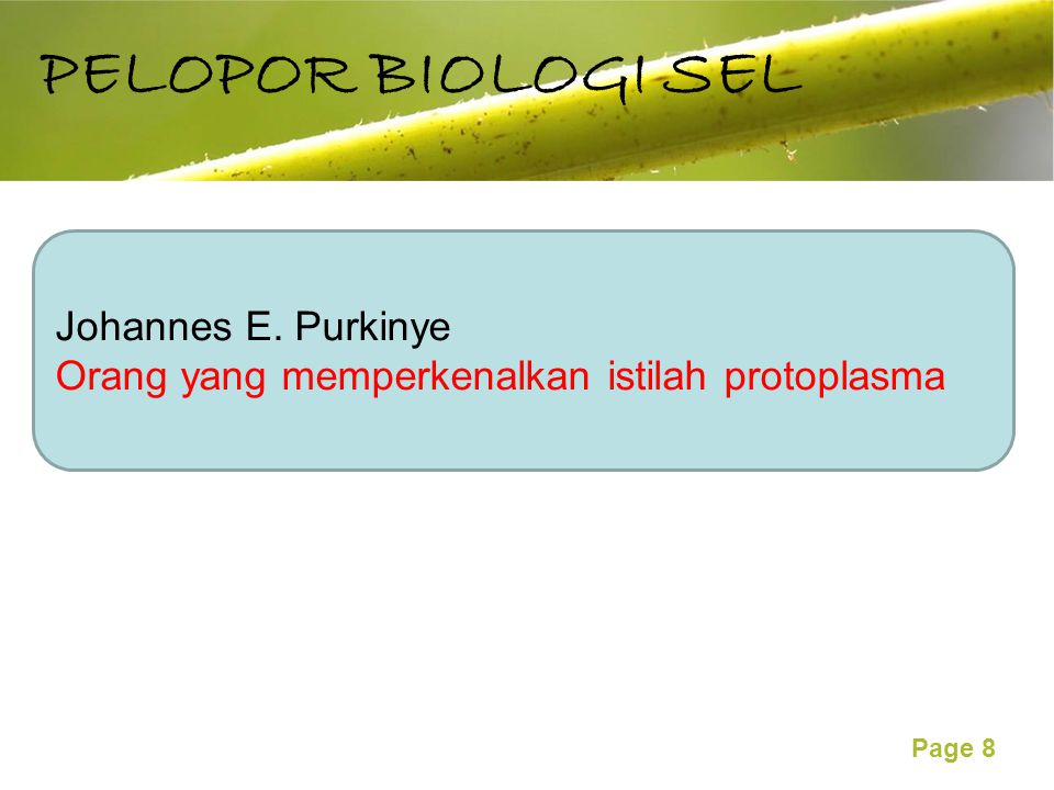 PELOPOR BIOLOGI SEL Johannes E. Purkinye