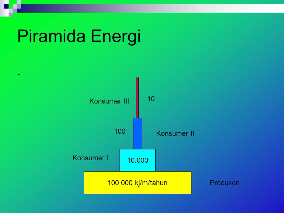 Piramida Energi . Konsumer III Konsumer II Konsumer I
