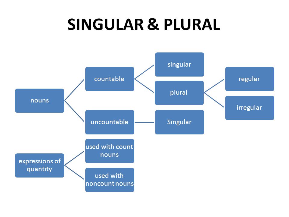 SINGULAR & PLURAL nouns countable singular plural regular irregular