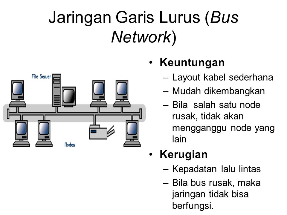 Jaringan Garis Lurus (Bus Network)