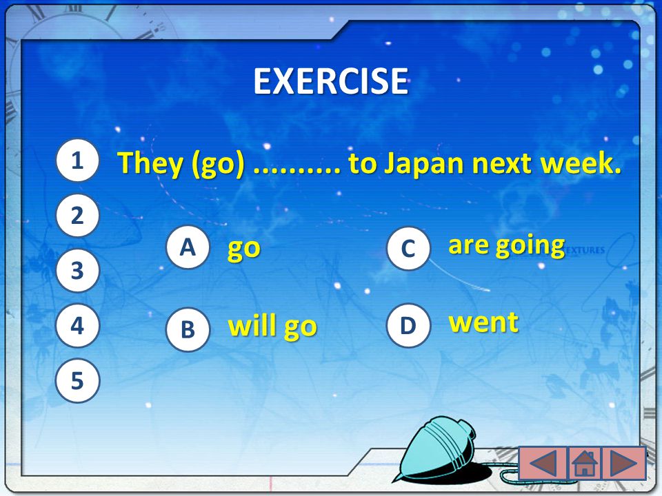 EXERCISE They (go) to Japan next week. go went will go