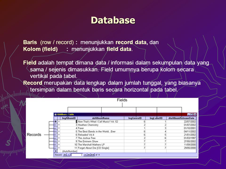 Database Baris (row / record) : menunjukkan record data, dan