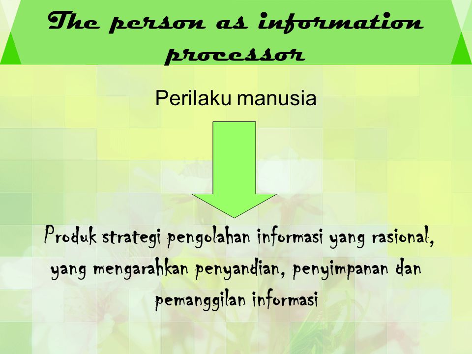 The person as information processor