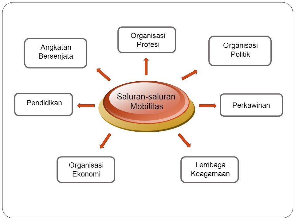 Saluran-saluran Mobilitas Organisasi Profesi Organisasi Politik