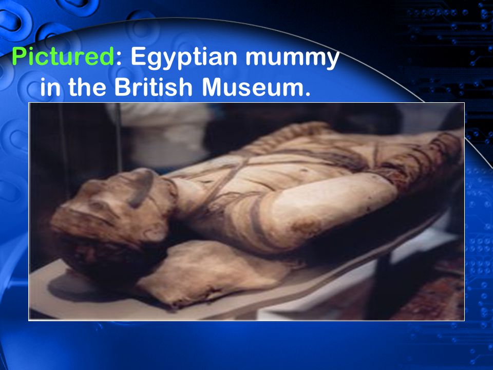 Pictured: Egyptian mummy in the British Museum.