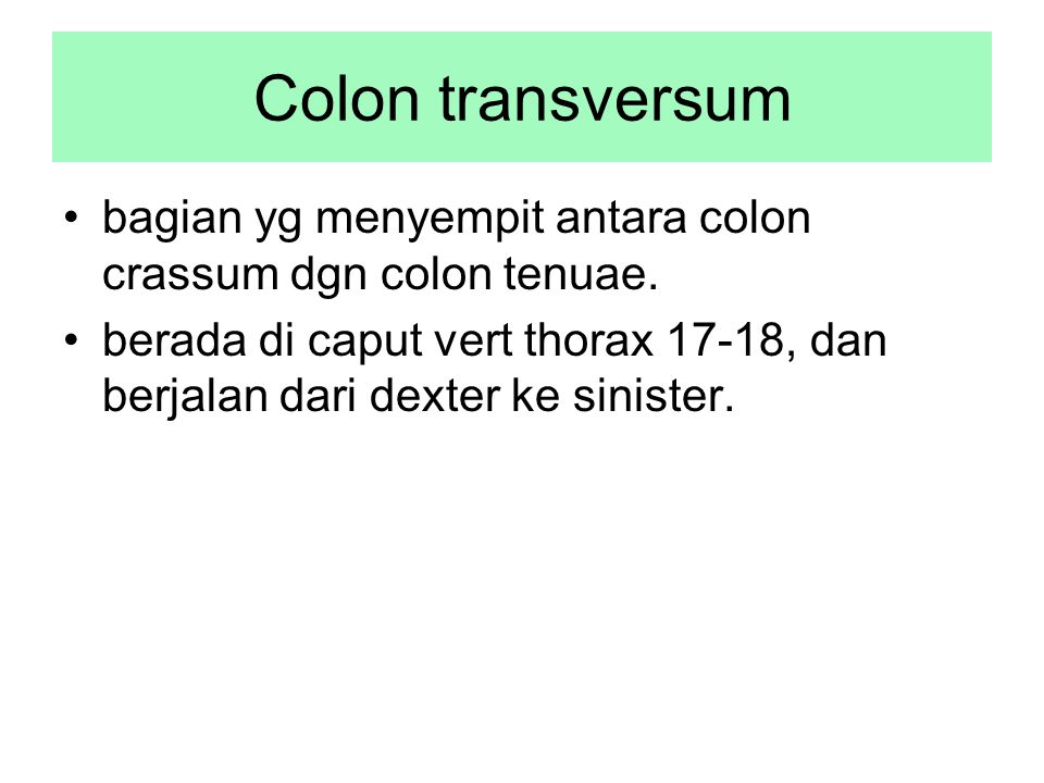 Colon перевод