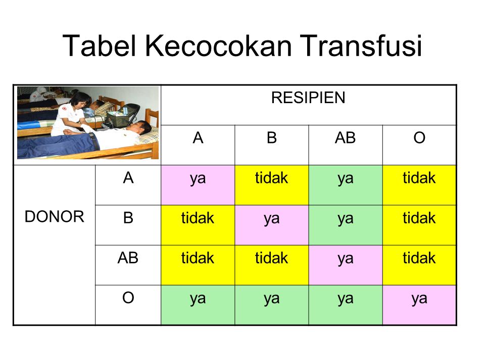 Tabel Kecocokan Transfusi